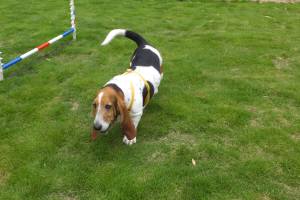 2014_07097-12マロンちゃん