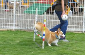 2014_07067-5ケンシロウ2