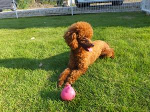 2014_07287-28クレア