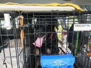 2014_07097-12ハルちゃん