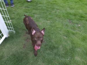 2014_07027-3サラちゃん