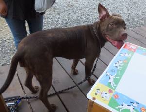 2014_07027-3サラちゃん2