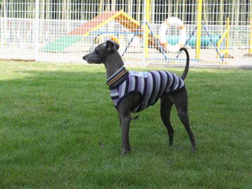 2014_07267-26マーブル