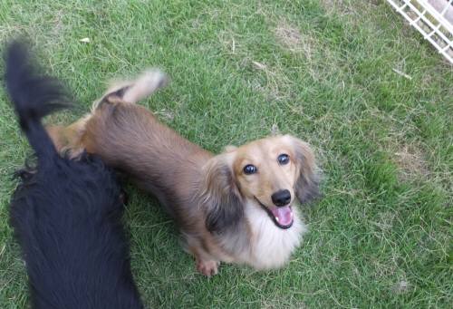 2014_07287-28リリィ