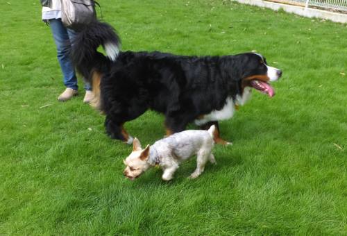 2014_07217-21クレアしんちゃん