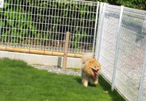 2014_07017-1ラッキー