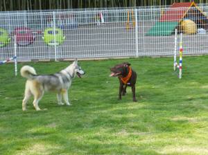 2014_07087-11ごあいさつ