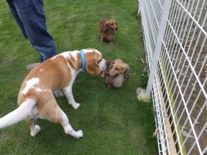 2014_07067-5あいさつ2