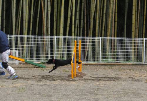 2014_07207-20ハルちゃん