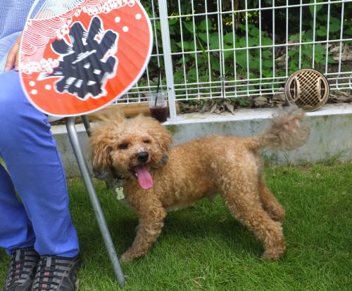 2014_07267-26カール君