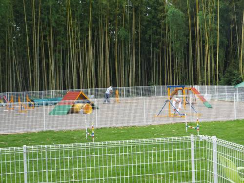 2014_07167-18わかめとーさん