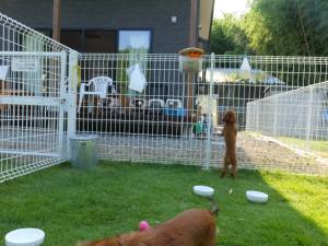 2014_07287-28ジャンプくれあ