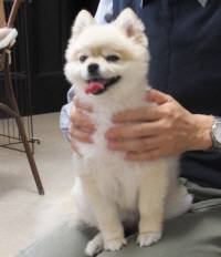 2014_07057-4らむちゃん３