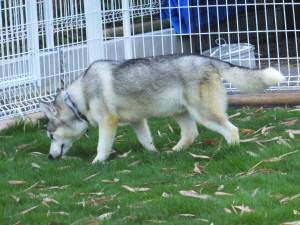 2014_07017-1じゅうざ