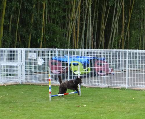 2014_07297-29さくらちゃん