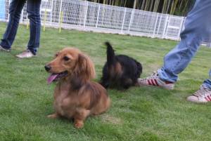 2014_07067-5ルネチャン