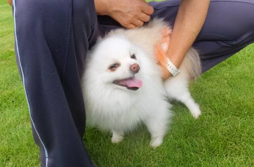 2014_07277-27メリーさん