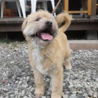 2014_07067-5トラちゃん