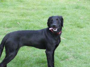 2014_07157-17はるちゃん