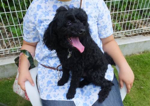 2014_07267-26ウルーちゃん