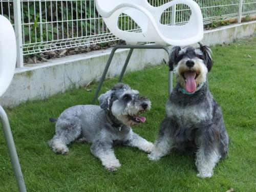 2014_07257-25ぎんがまるちゃん