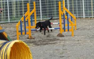 2014_07237-23ハルちゃん