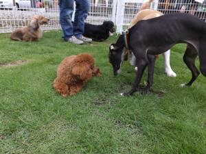 2014_07067-5みんな1