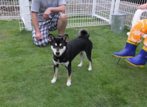 2014_07077-6ここちゃん