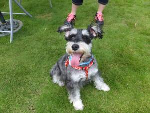 2014_07097-12まるちゃん