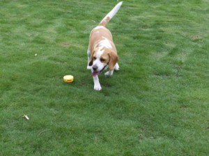 2014_07057-4ムサシ君