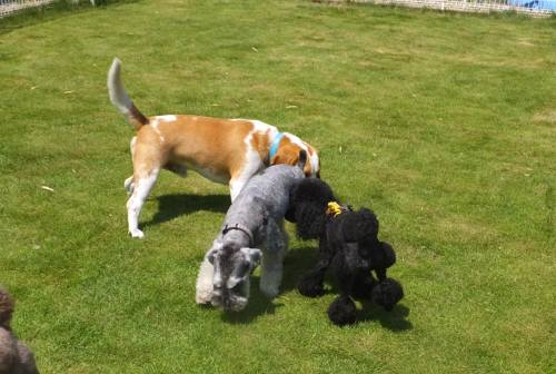 2014_07277-27三匹２