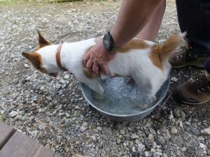 2014_07217-21チャッピー