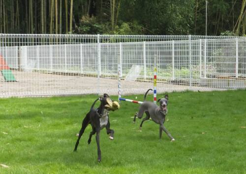 2014_07237-23モネまーぶる