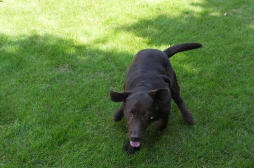 2014_07297-29ララ2