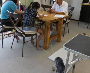 2014_07307-30しつけ教室１