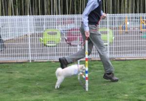 2014_07057-4らむちゃん２