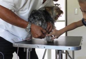 2014_07307-30しつけ教室２