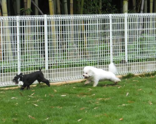 2014_07217-21ルネアアムル