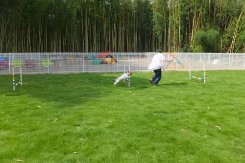 2014_07207-20チャッピージャンプ