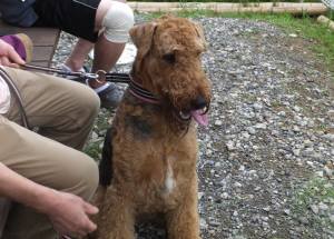 2014_07067-5ランちゃん