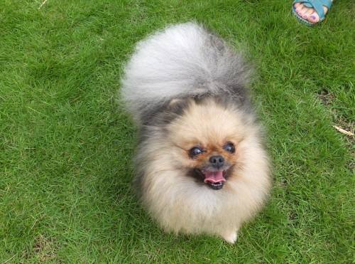 2014_07207-20みらいちゃん