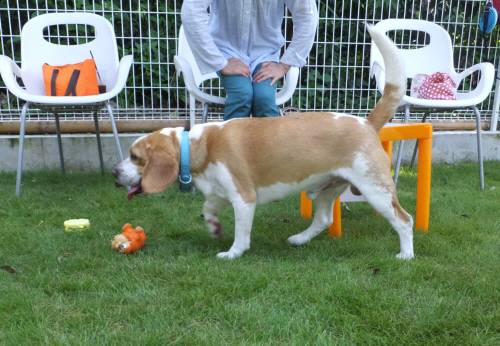 2014_07277-27ムサシ