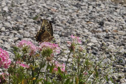 2014_07167-18ちょう1