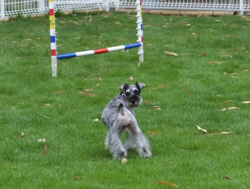 2014_07217-21クレア