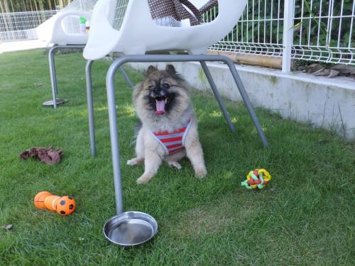 2014_07257-25ぽんちゃん2