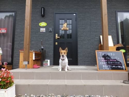 2014_07197-19チャッピーくん