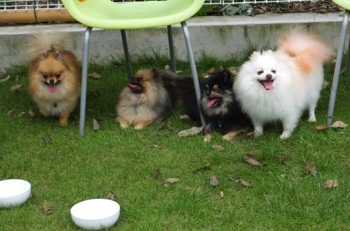 2014_08248-21エムズファミリー