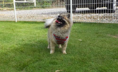 2014_08048-4ぽんちゃん