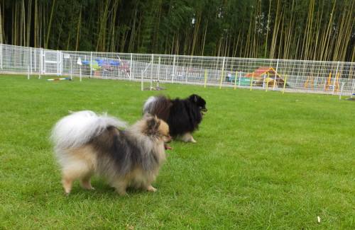 2014_08308-26ミライマリア