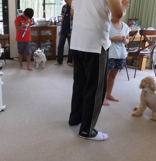 2014_08208-18しつけ教室１